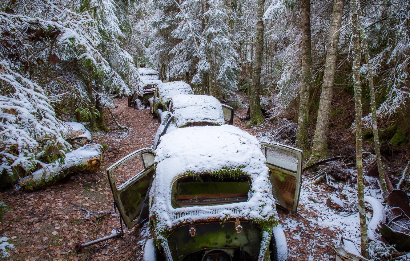 Фото обои лес, снег, машины, лом