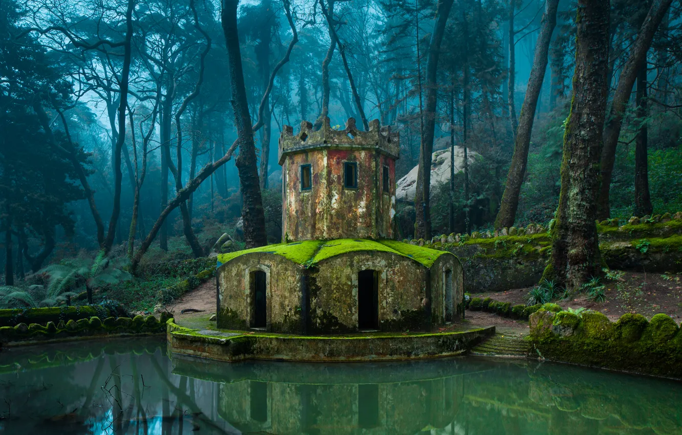 Фото обои деревья, пруд, парк, камни, замок, мох, Португалия, Sintra