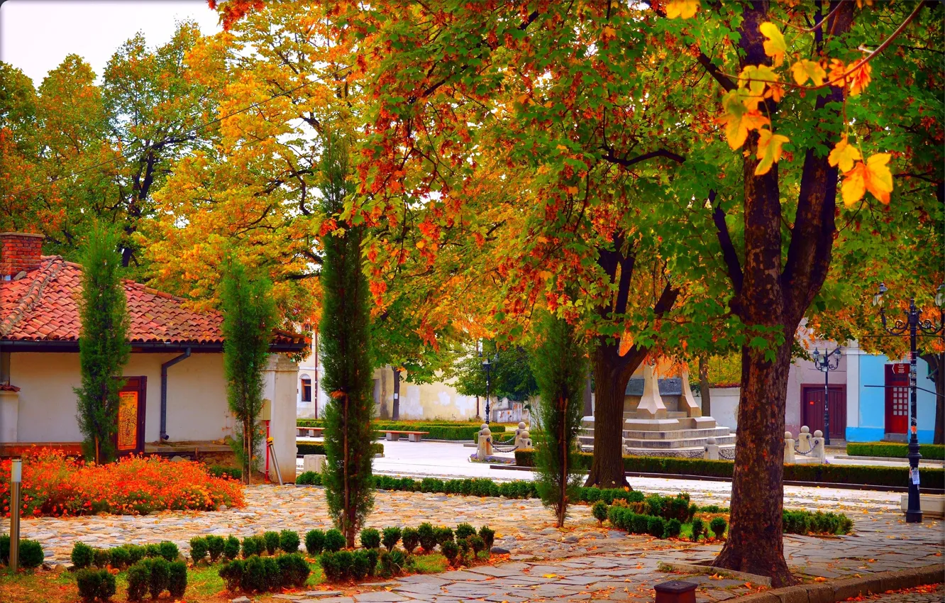 Фото обои Осень, Деревья, Листья, Парк, Fall, Park, Autumn, Colors