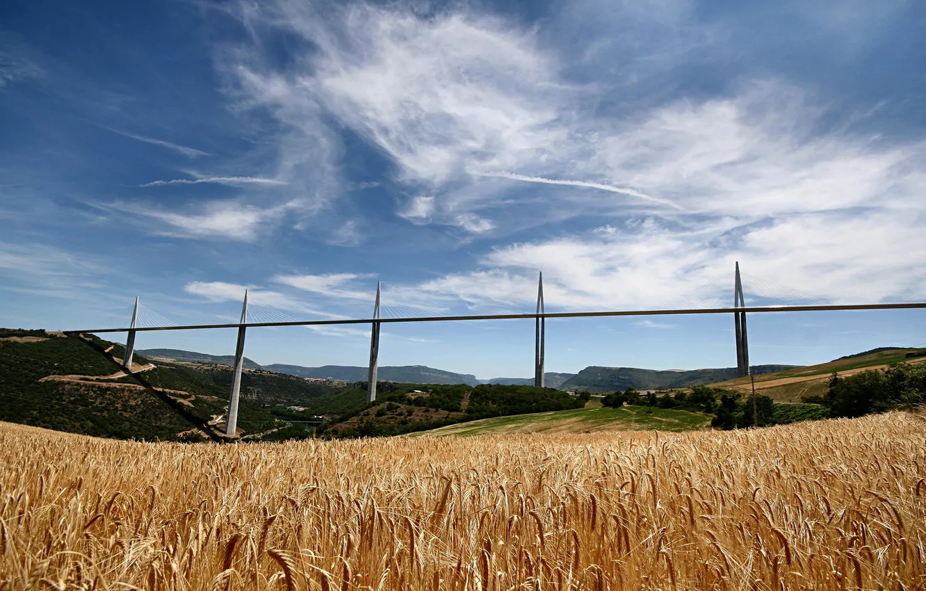 Фото обои пшеница, поле, мост, франция, Виадук Милау