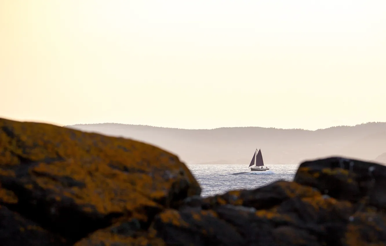 Фото обои waves, sea, rocks, boat, sailing, sail