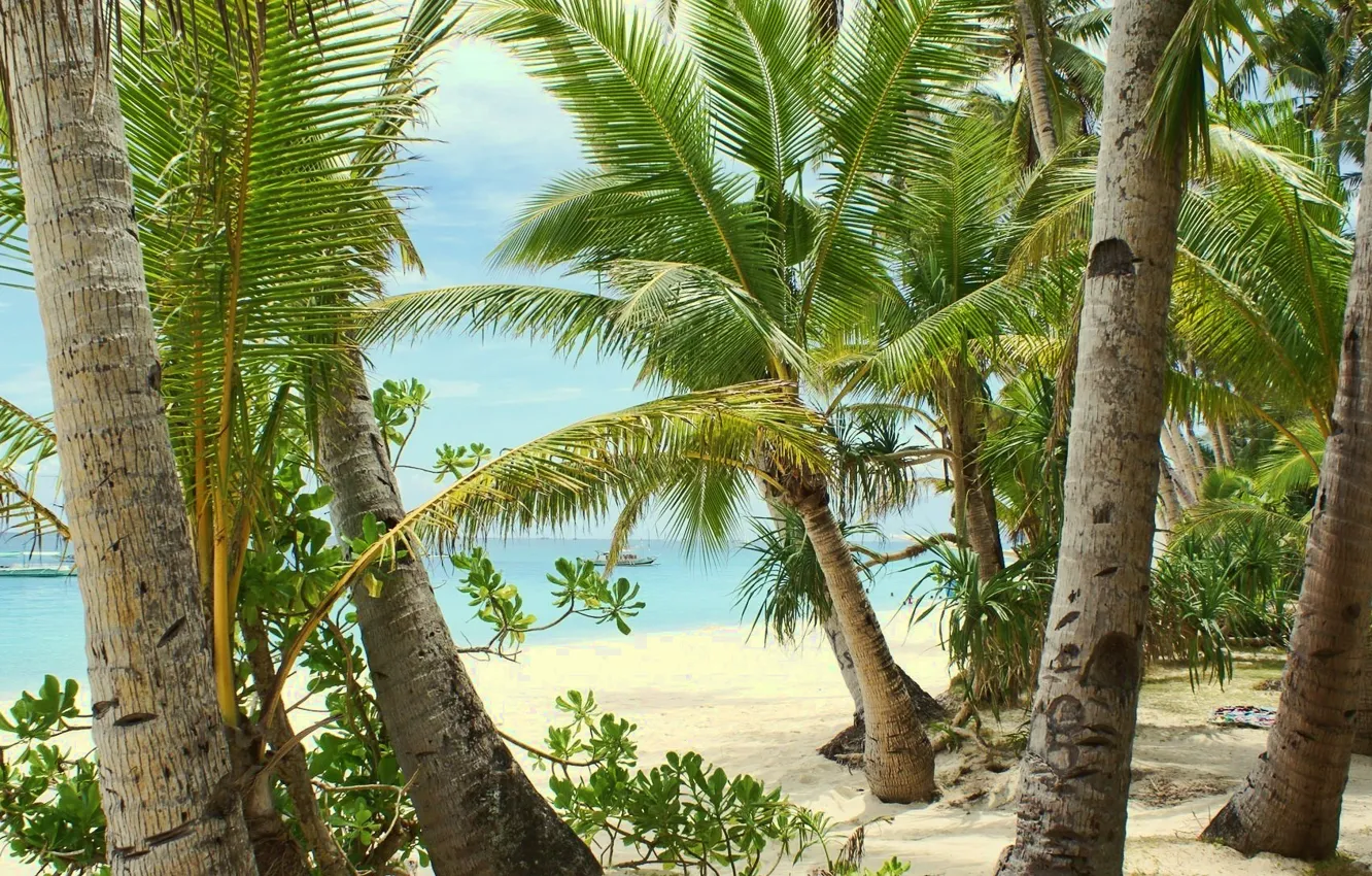 Фото обои песок, море, пляж, лето, пальмы, тепло, отдых