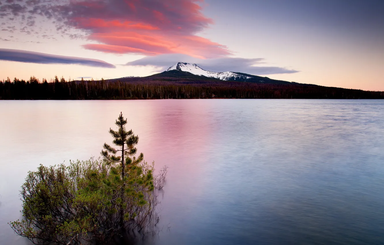 Фото обои пейзаж, закат, горы, природа, озеро, дерево
