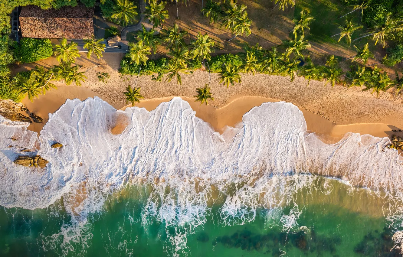 Фото обои beach, sea, sand, surf, tide, palms, aerial view