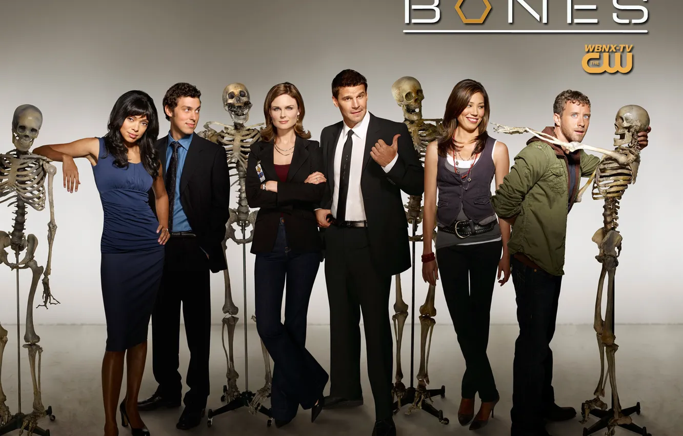 Фото обои кости, сериал, bones