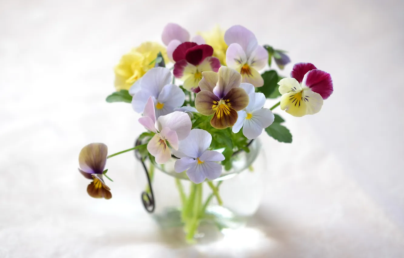 Фото обои цветы, букет, ваза, анютины глазки