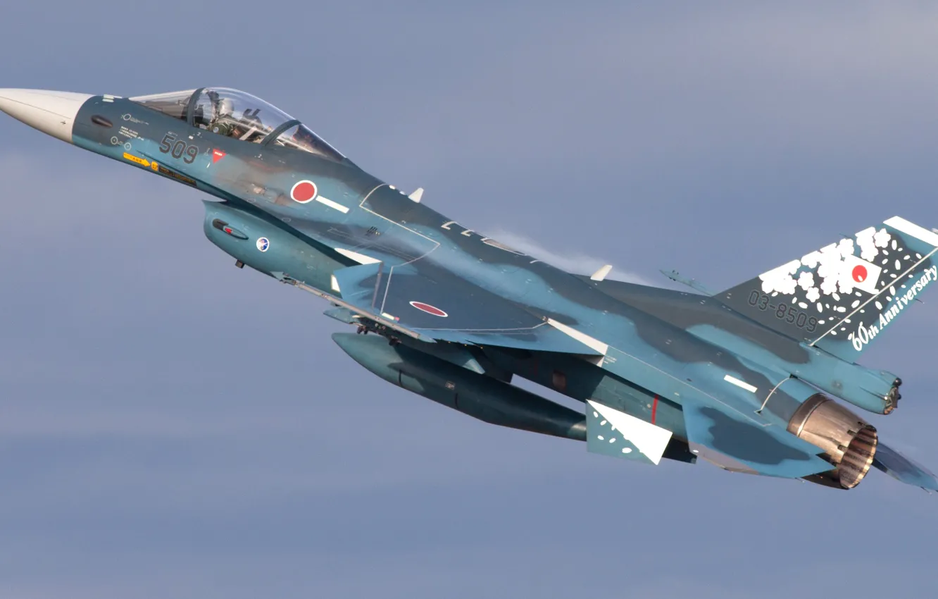 Фото обои Япония, Japan, F-16, Воздушные силы самообороны Японии, Mitsubishi F-2, Mitsubishi Heavy Industries, Силы самообороны Японии