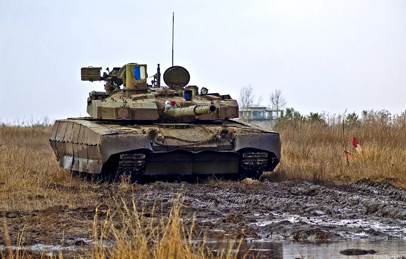 Фото обои поле, танк, Украина, т-84 оплот