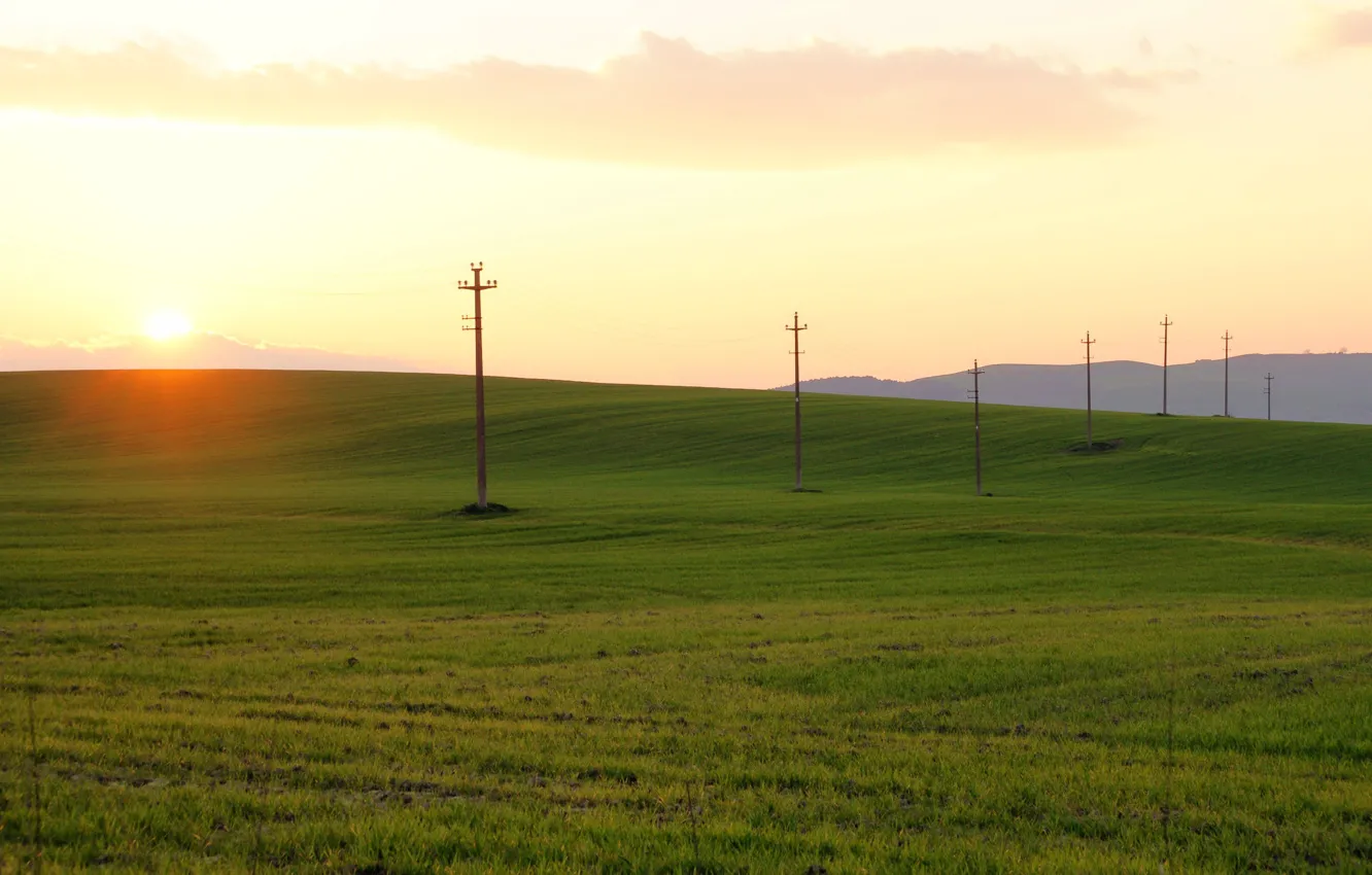 Фото обои поле, утро, лэп