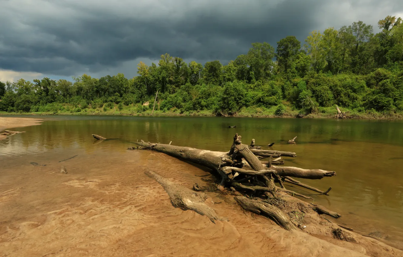 Фото обои песок, зелень, лес, деревья, тучи, река, берег, США