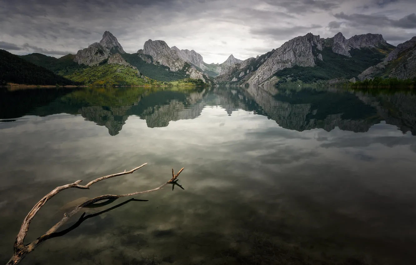 Фото обои горы, озеро, отражение, ветка