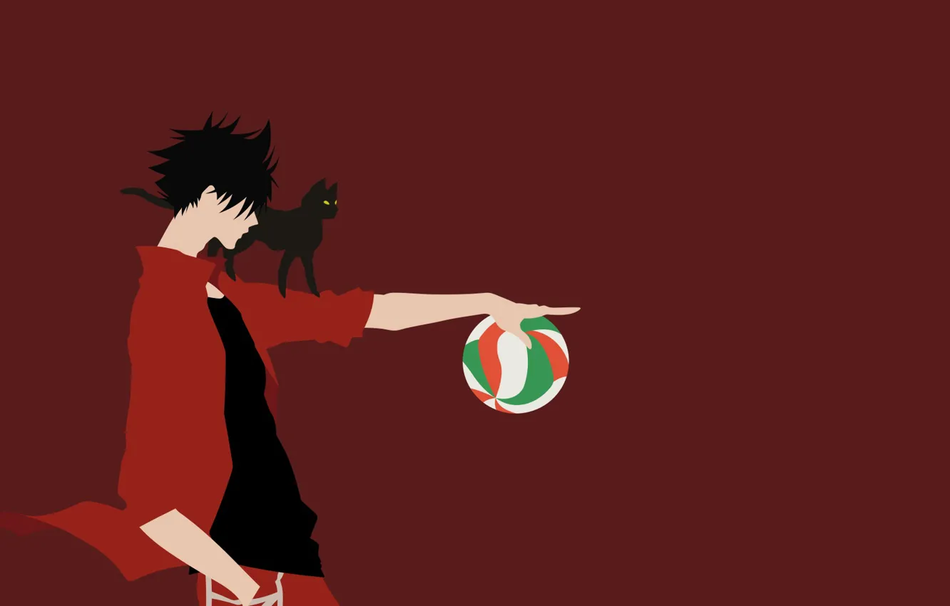 Фото обои кот, мяч, парень, Волейбол, Haikyuu