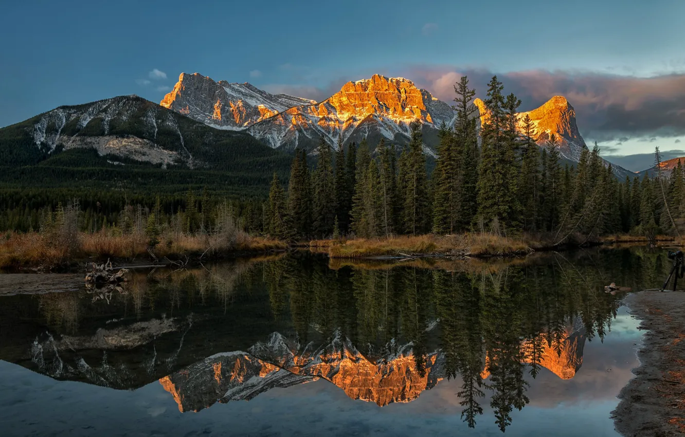 Фото обои лес, горы, отражение, река, Канада, Альберта, Alberta, Canada