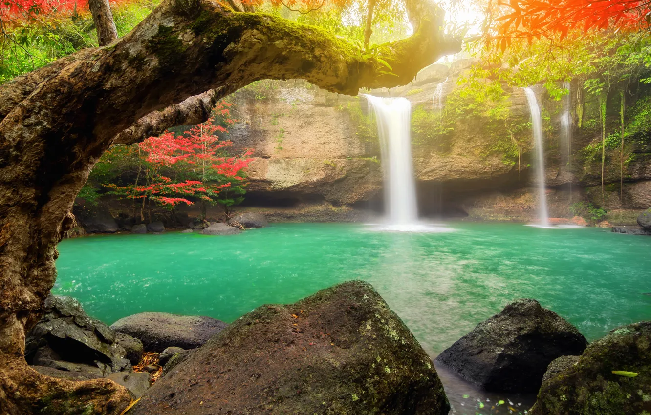 Фото обои осень, лес, природа, водопад, поток