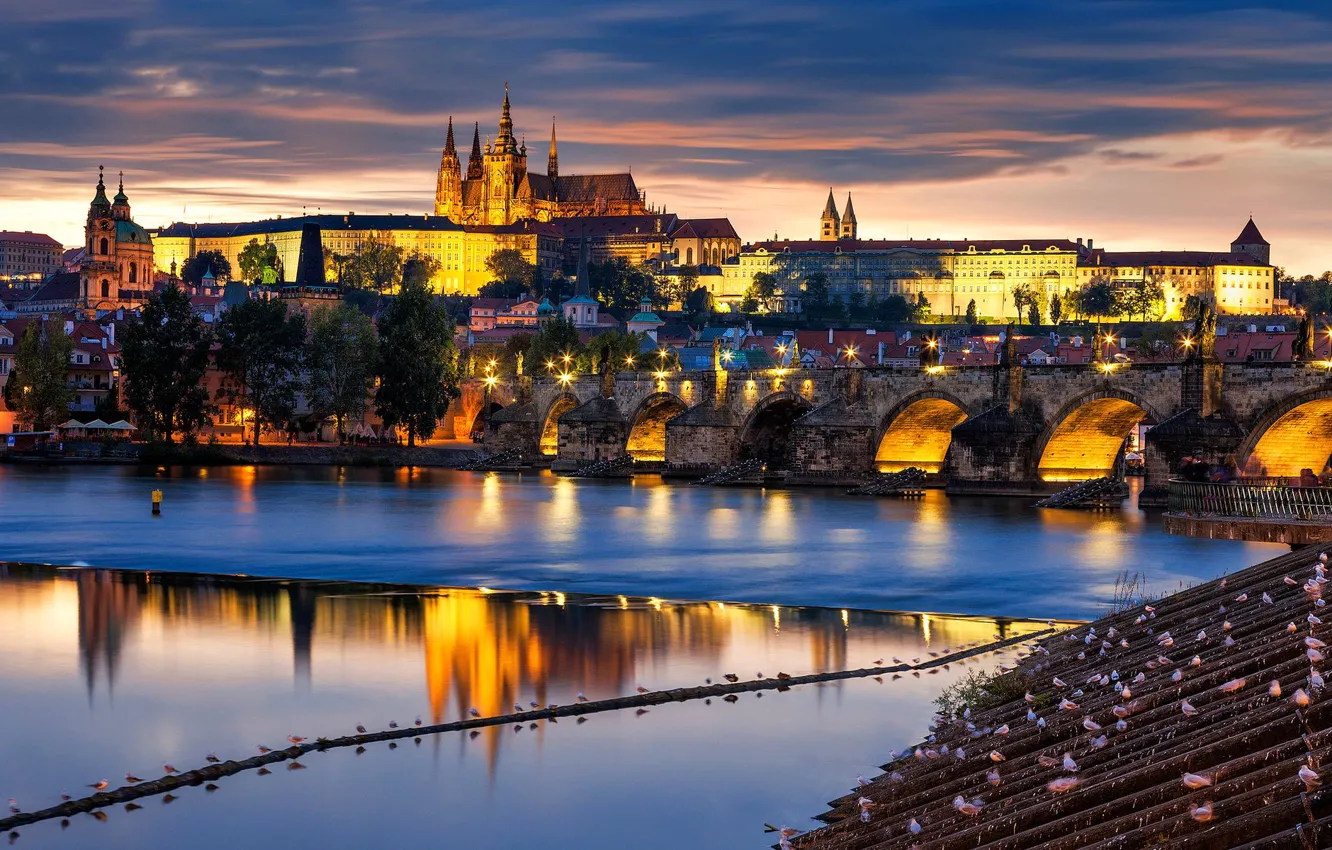 Фото обои ночь, мост, огни, река, Прага, Чехия, собор
