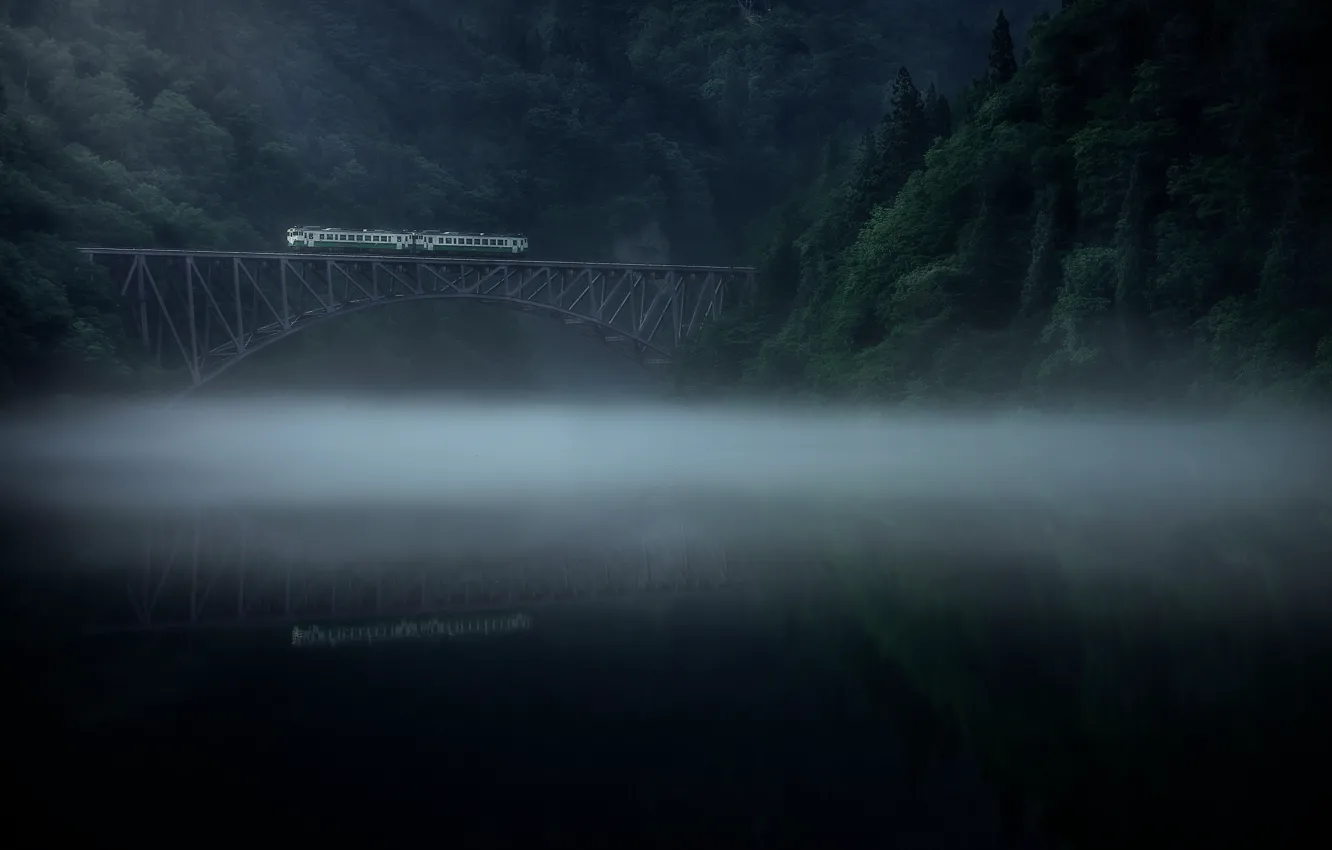 Фото обои лес, туман, река, поезд, утро
