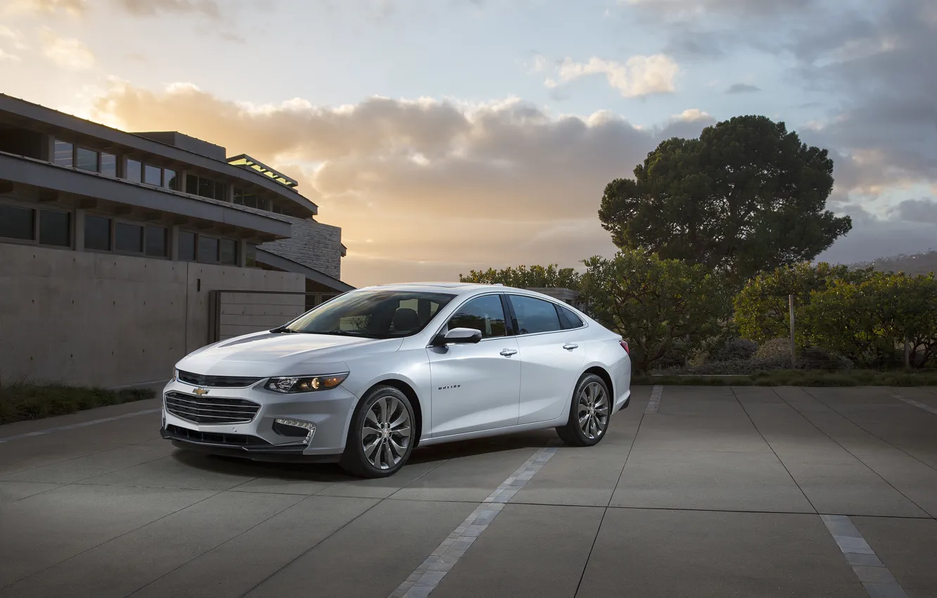 Фото обои Chevrolet, шевроле, Malibu, малибу, 2015