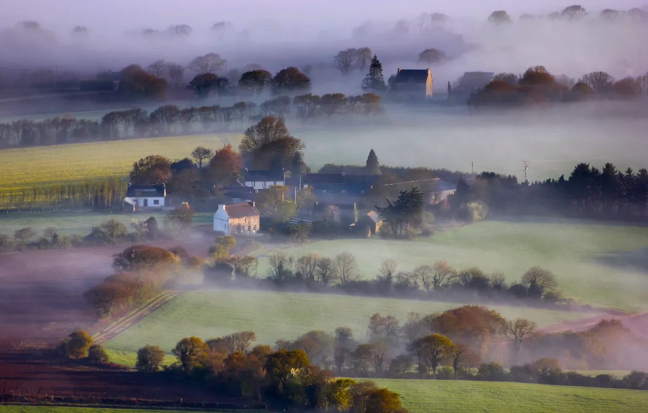 Фото обои деревья, туман, поля, Англия, дома
