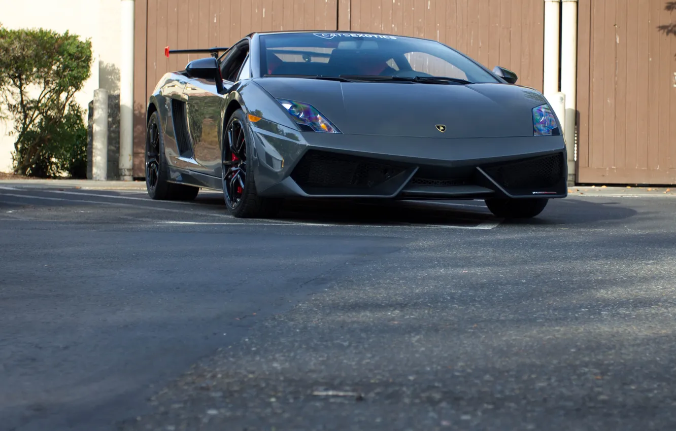 Фото обои серый, Lamborghini, Gallardo, вид спереди, grey, ламборгини, галлардо супер трофео страдале, LP570-4 Super Trofeo Stradale