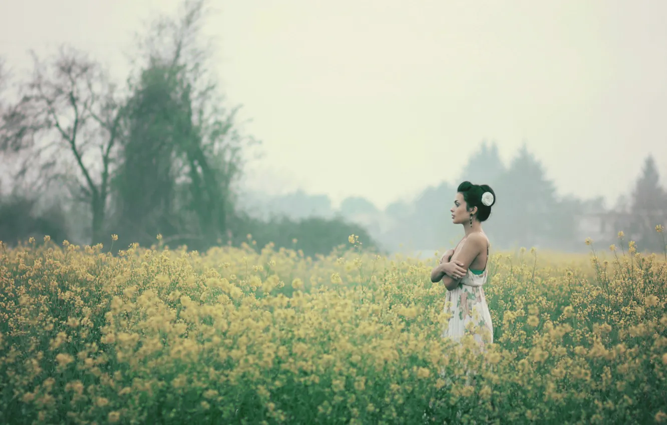 Фото обои поле, девушка, цветы, туман