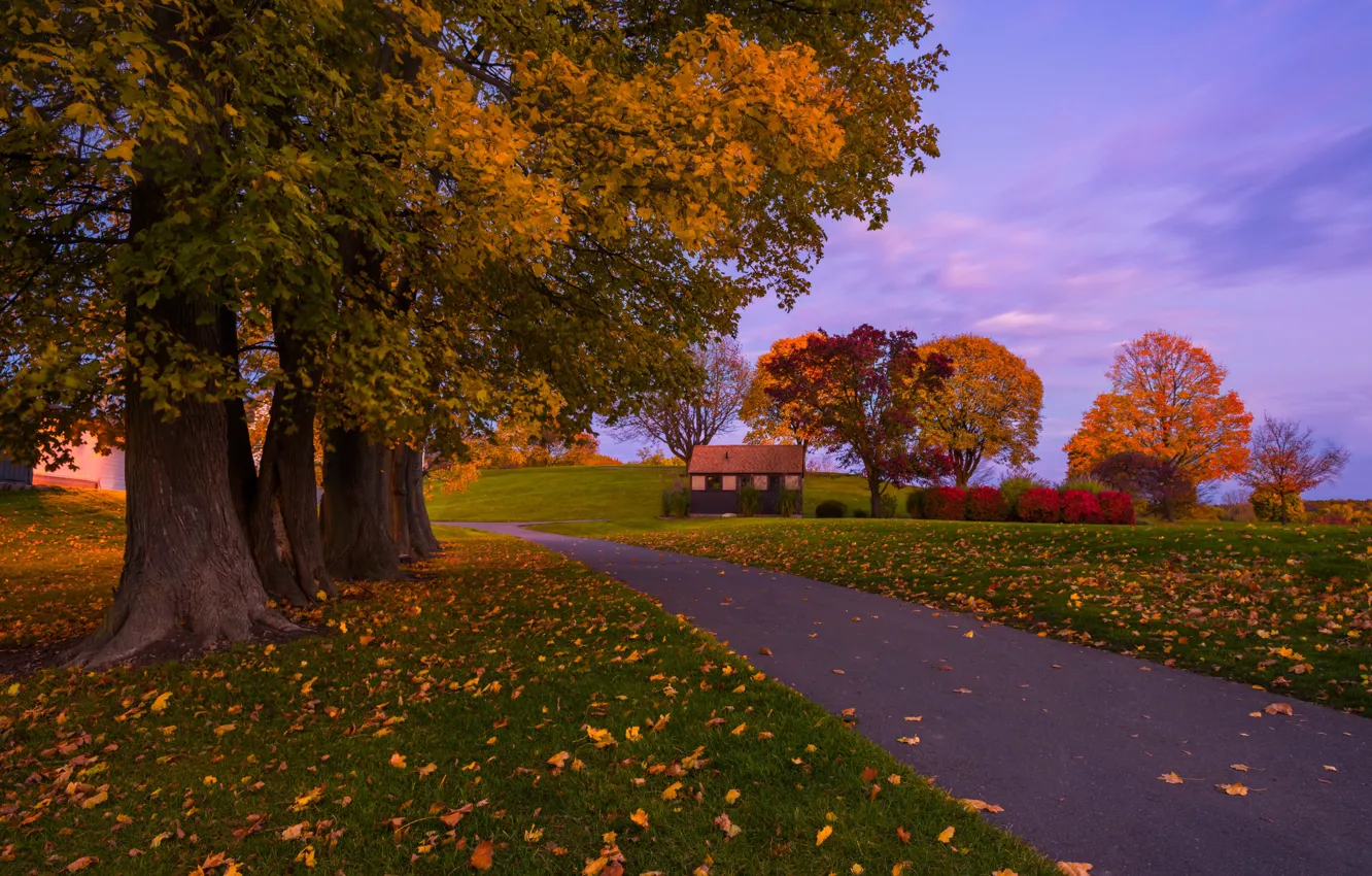 Фото обои дорога, осень, небо, трава, облака, деревья, закат, газон