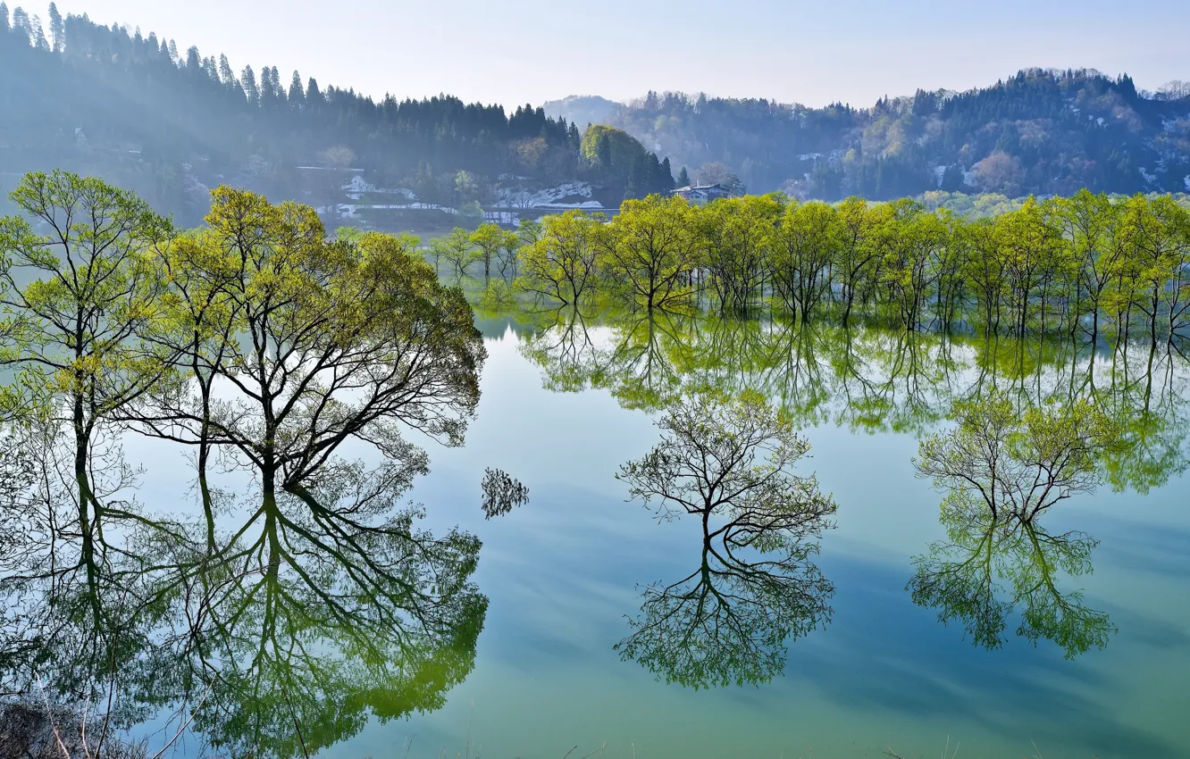 Фото обои деревья, озеро, отражение, Япония, Japan, Yamagata, Ямагата, Iide