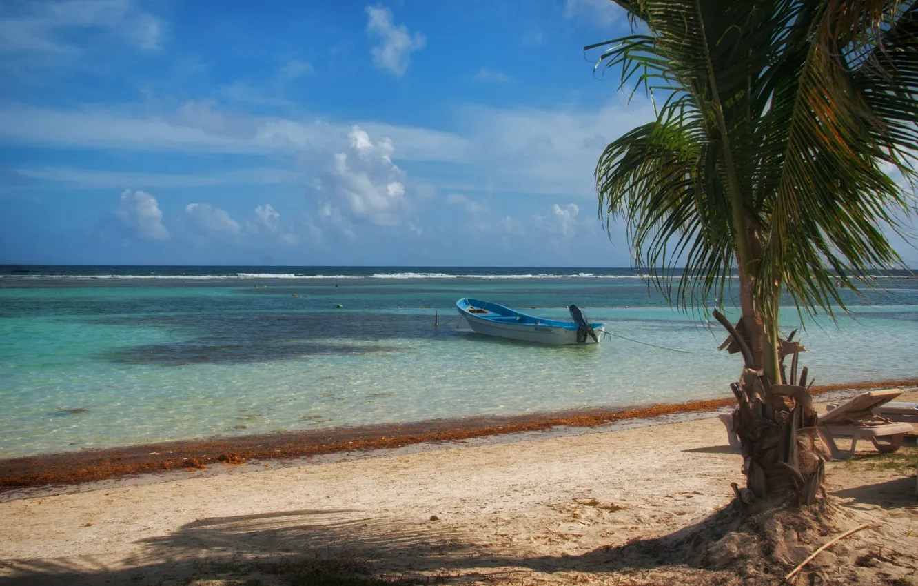 Фото обои море, пляж, тропики, пальмы, берег, лодка