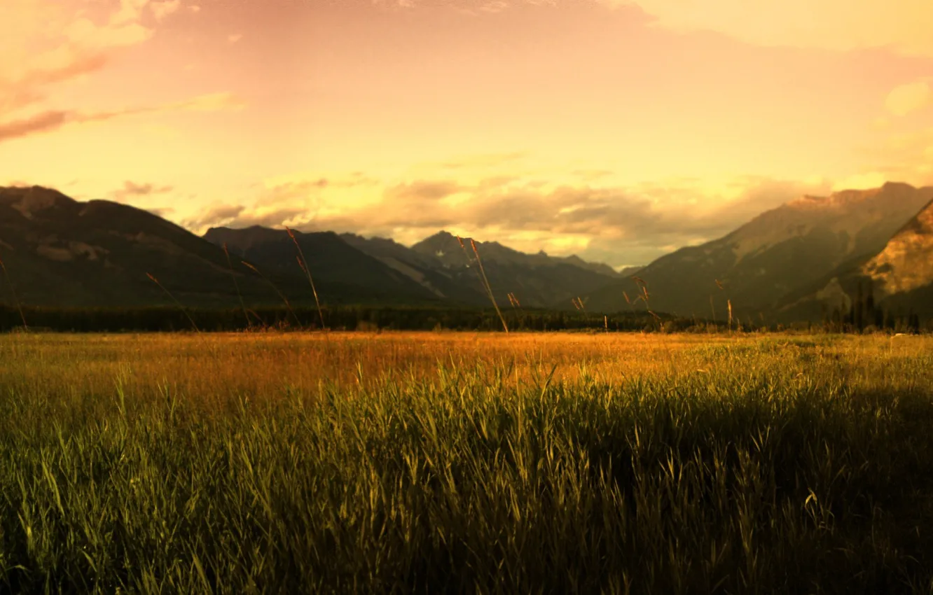 Фото обои поле, горы, восход