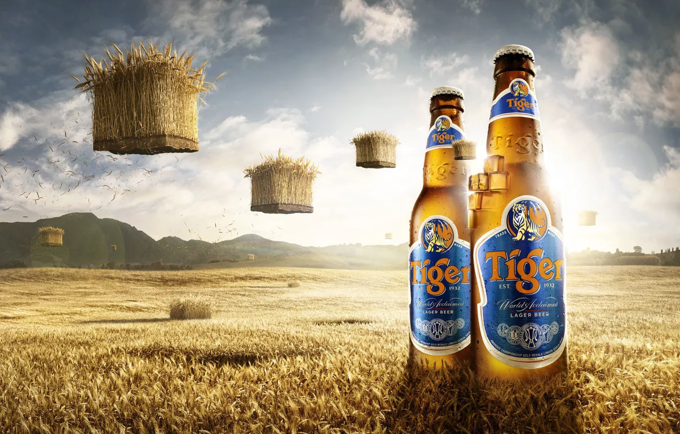 Фото обои поле, горы, пиво, бутылки, Tiger Beer Bali