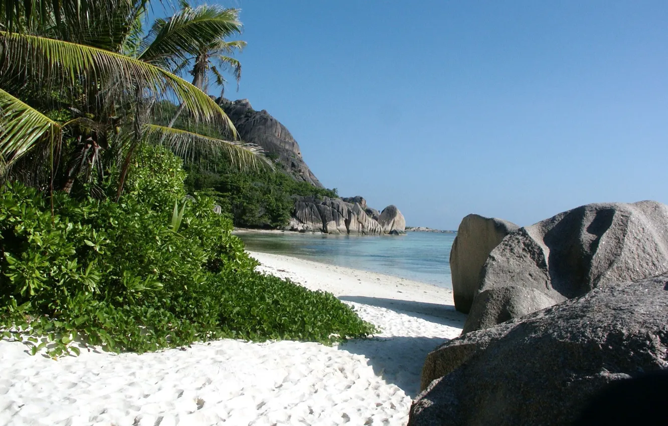 Фото обои песок, море, тростник, тропический пляж, камни