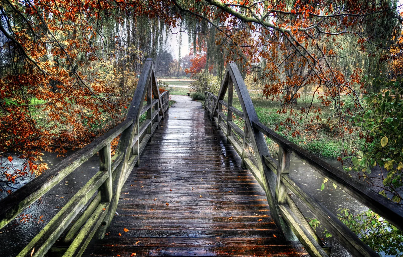 Фото обои мост, парк, река, дождь