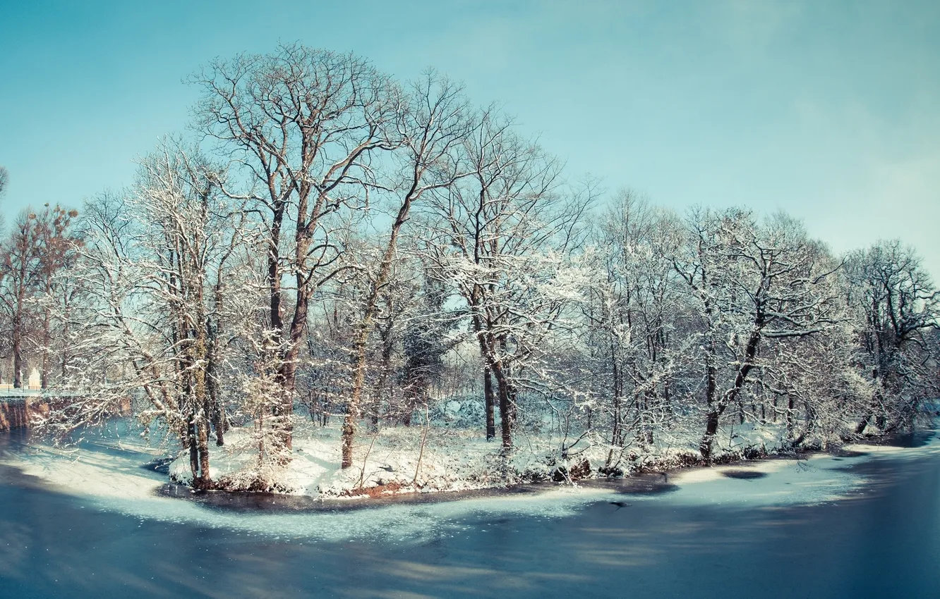 Фото обои зима, деревья, река