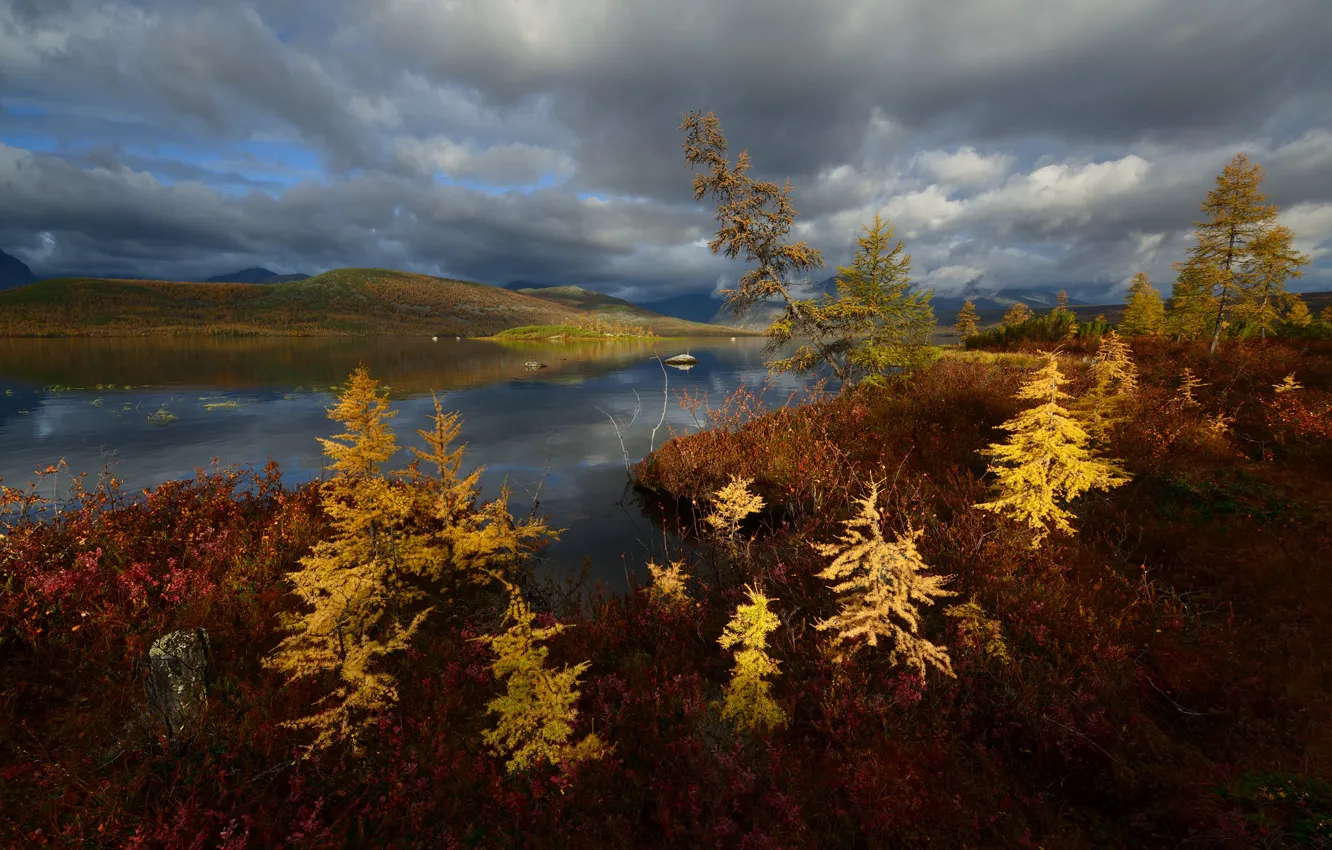 Фото обои осень, облака, берег, водоем, ёлочки