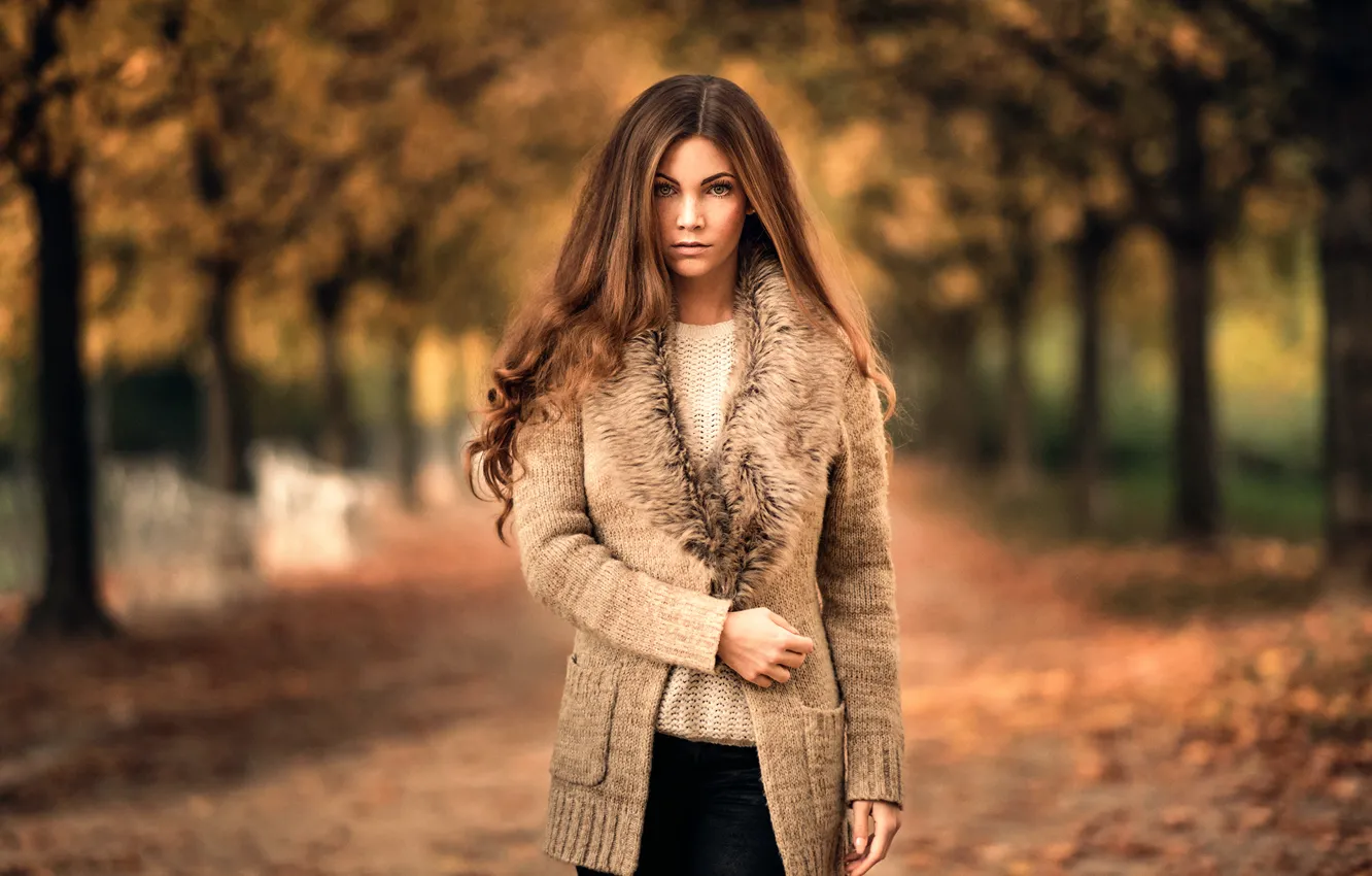 Фото обои осень, Sophie, Martin Kuhn