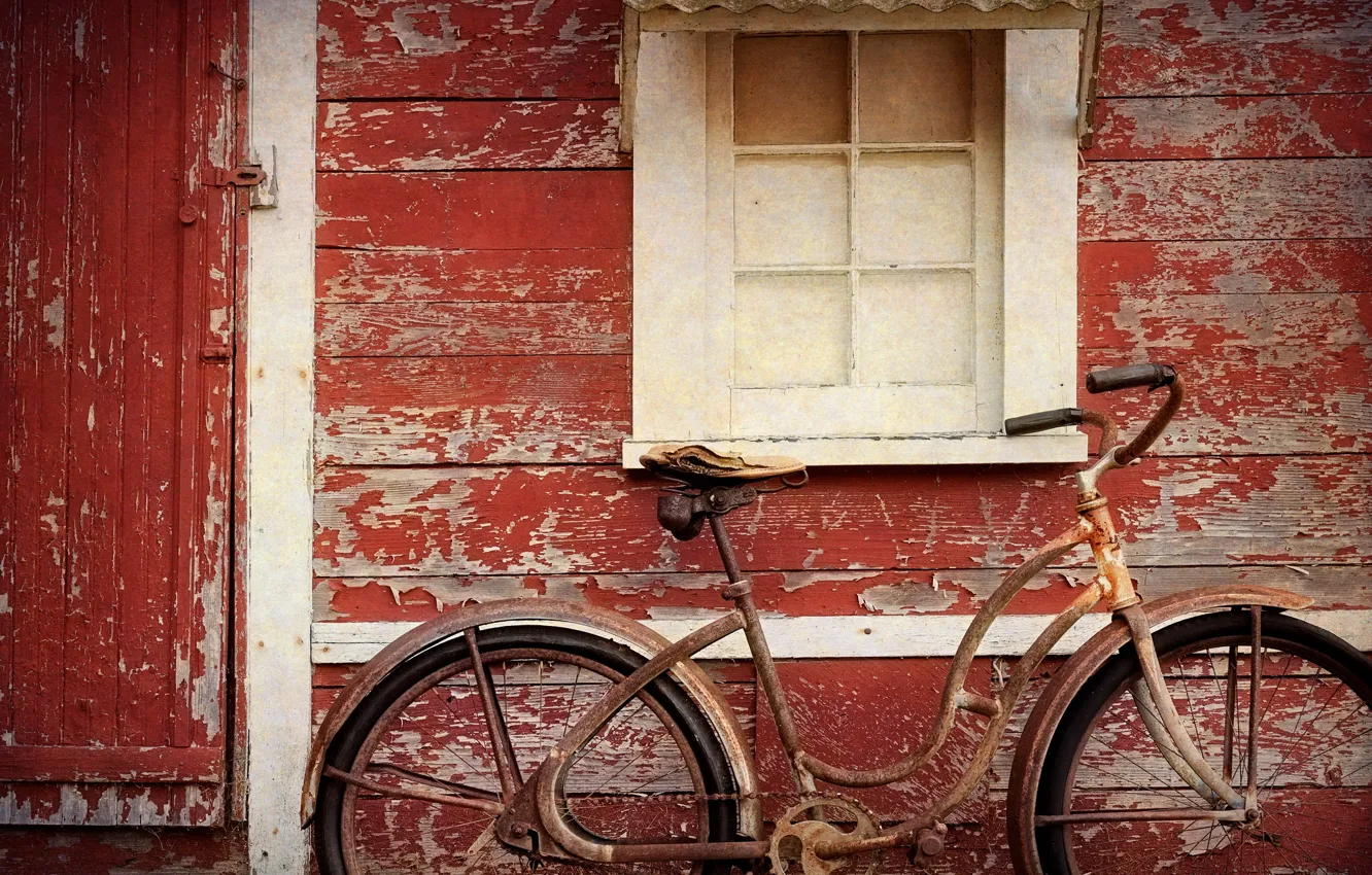 Фото обои велосипед, дом, окно