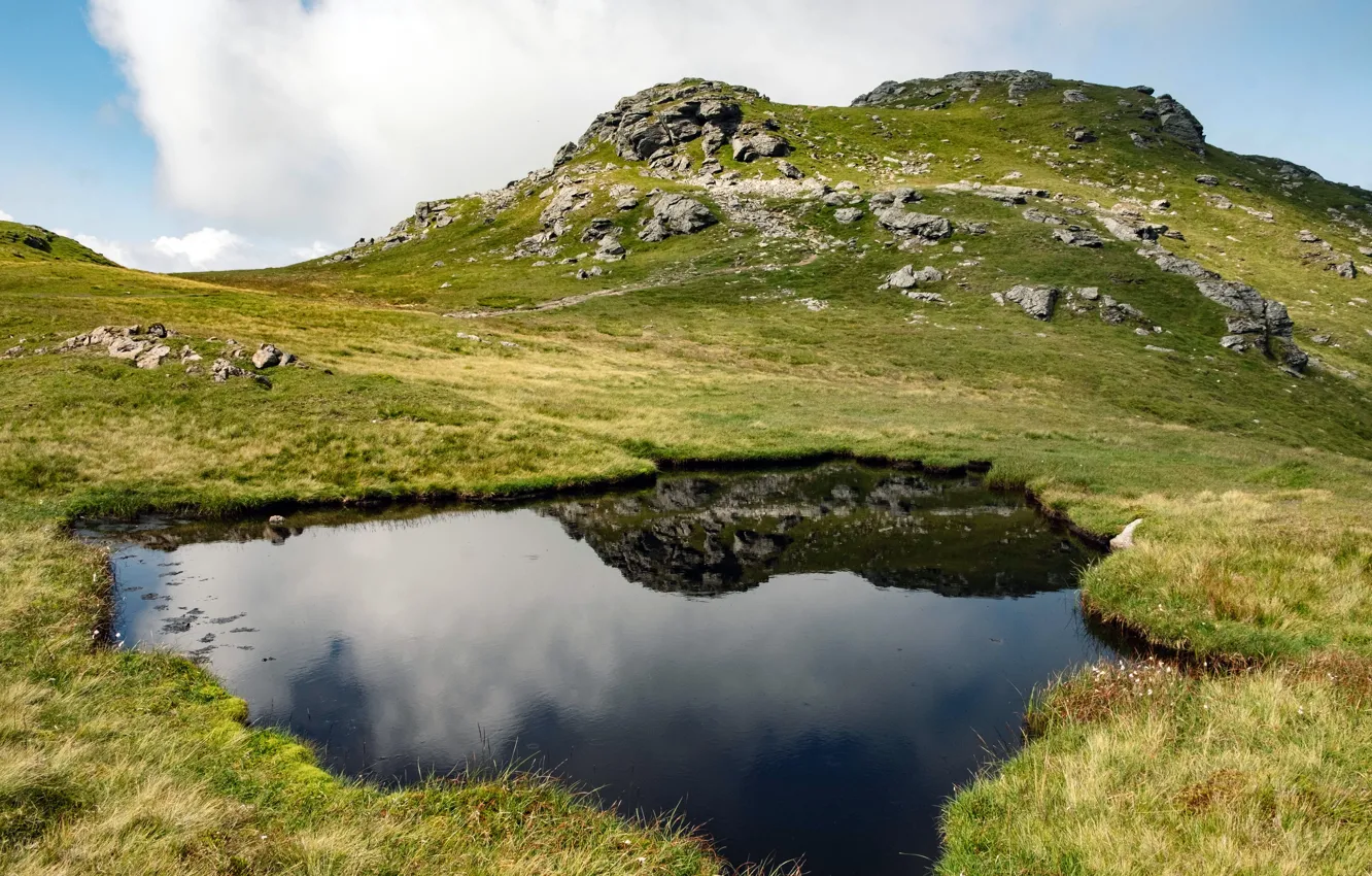 Фото обои вода, отражение, зеленая трава, холм, water, hill, reflection, green grass