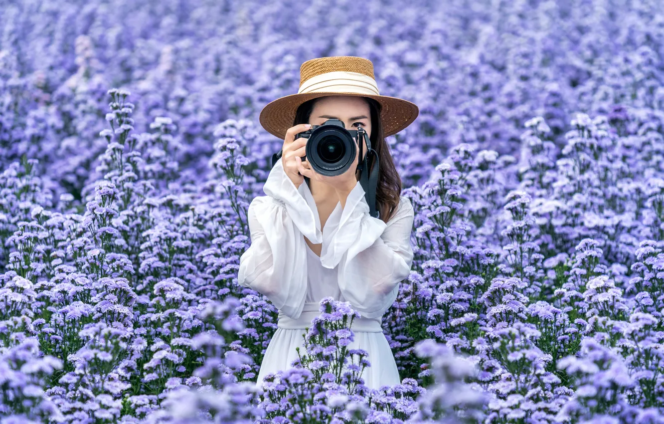 Фото обои поле, девушка, цветы, фотосъемка, белое, шляпа, платье, фотоаппарат