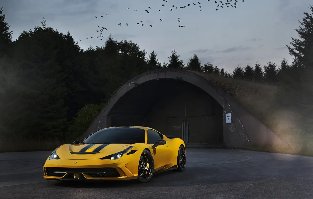 Фото обои небо, птицы, жёлтый, ferrari, сумерки, феррари, yellow, 458 speciale