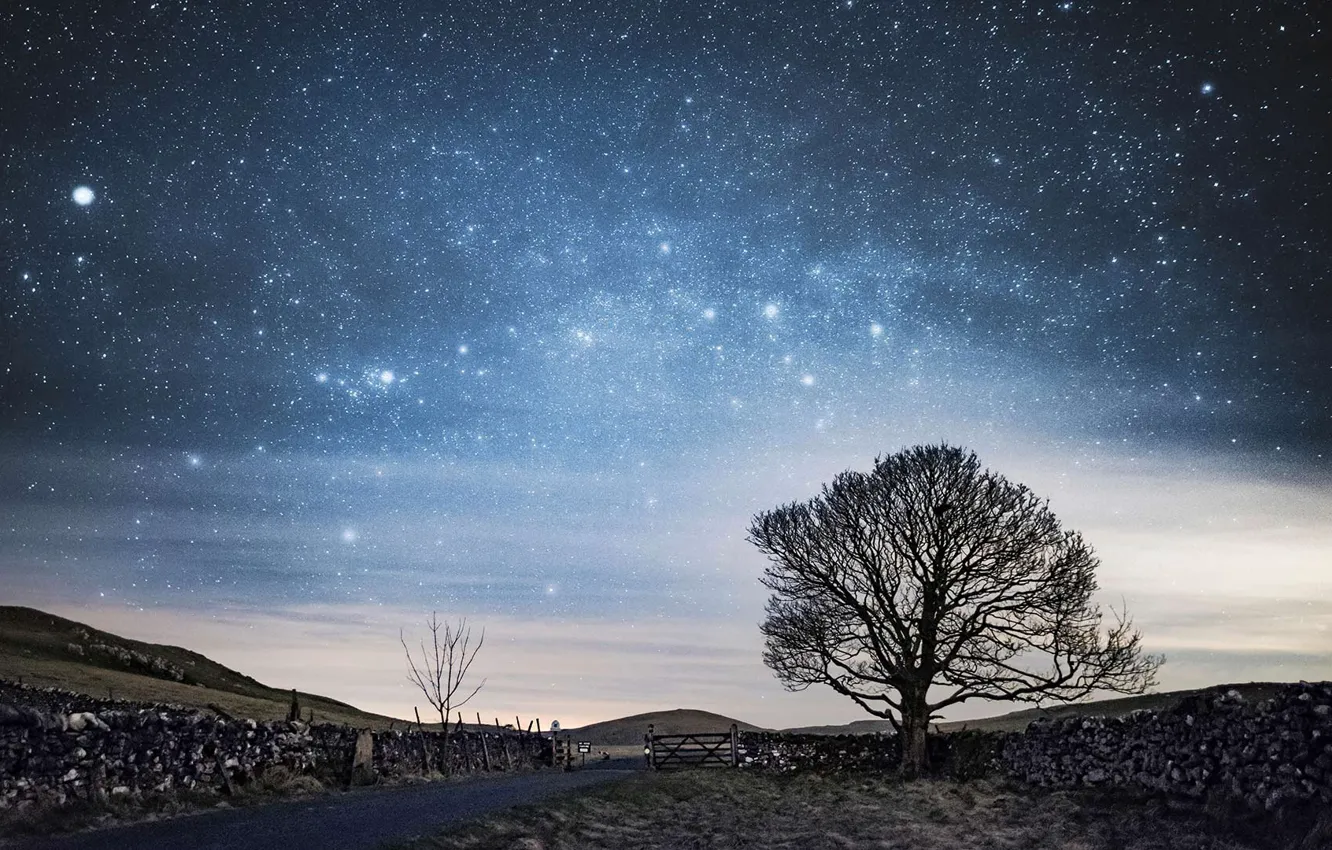 Фото обои ночь, дерево, забор, Англия, звёзды, ворота, Северный Йоркшир, Малхэм