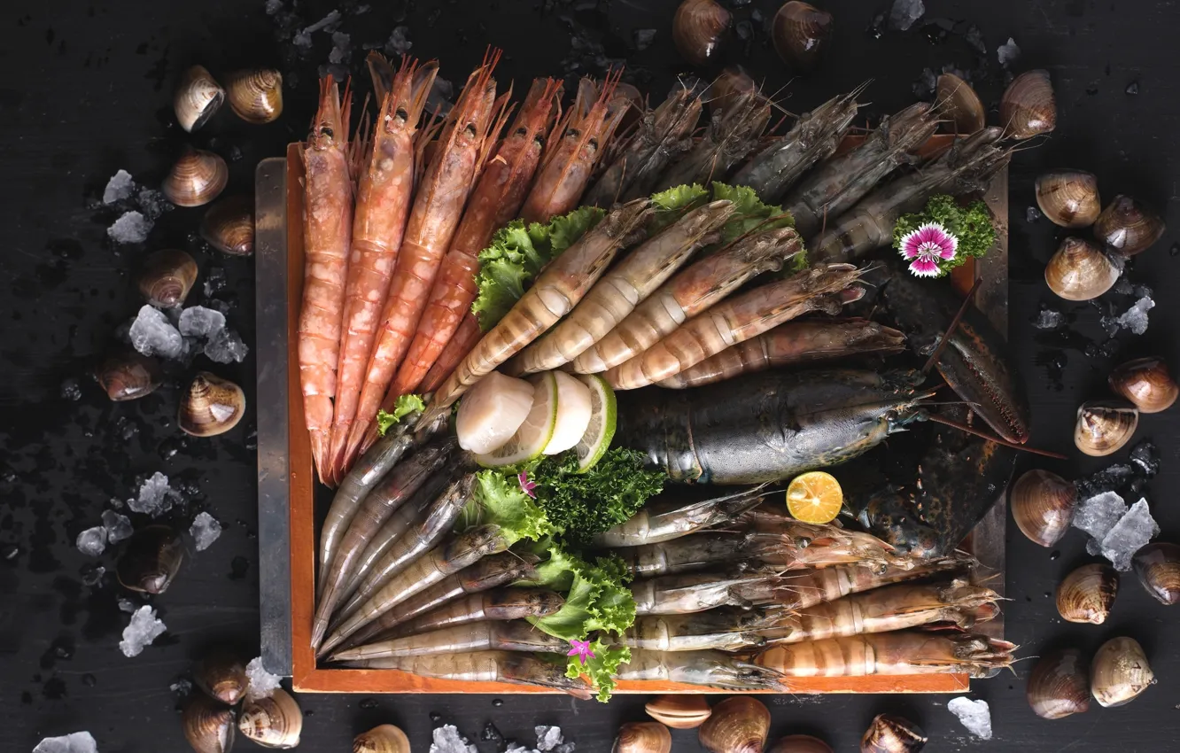 Фото обои креветки, морепродукты, моллюски