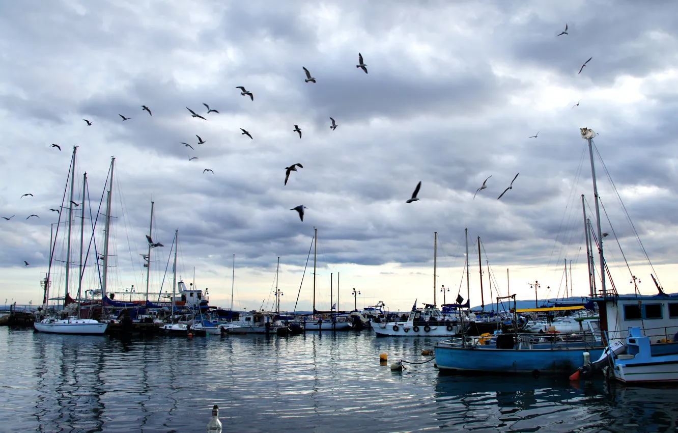 Фото обои море, небо, облака, птицы, Порт, sky, sea, clouds