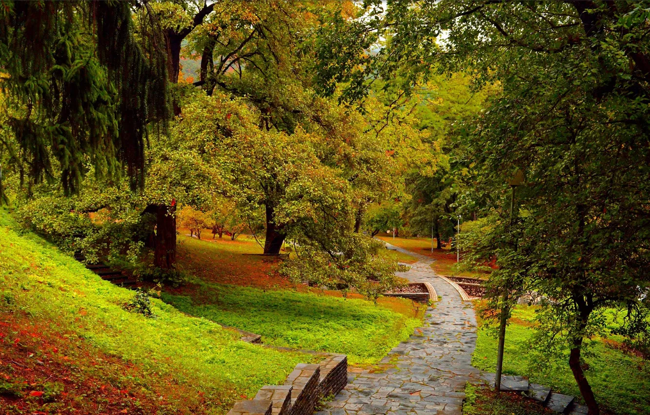 Фото обои Осень, Деревья, Парк, Fall, Park, Autumn, Trees
