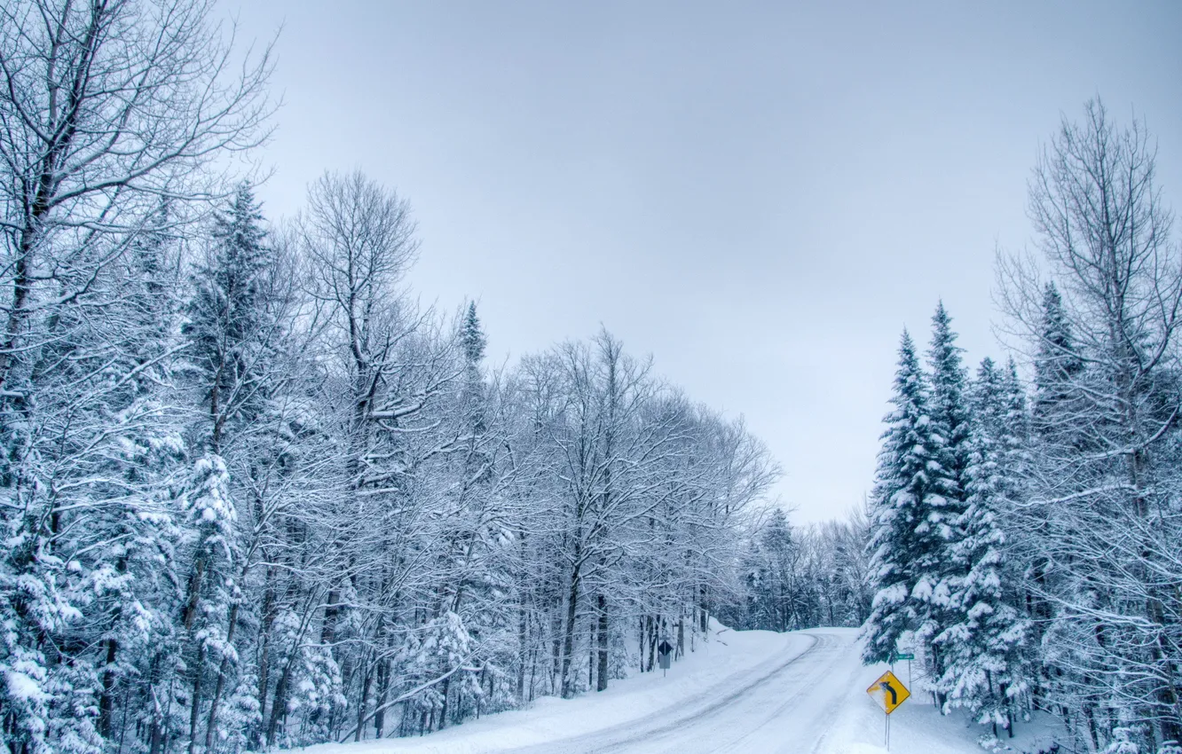 Фото обои зима, дорога, лес, знак