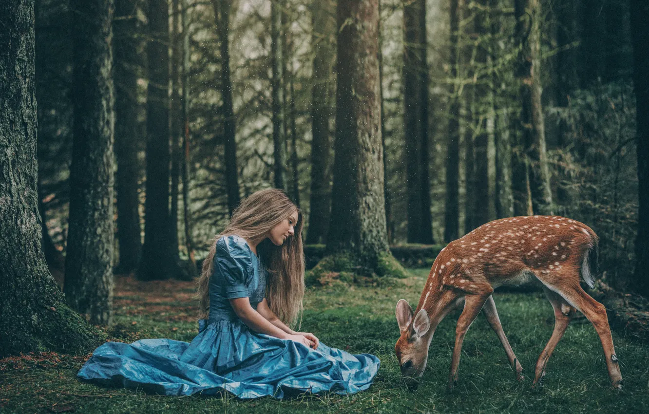 Фото обои лес, девушка, доброта, волосы, мило, ситуация, платье, олененок