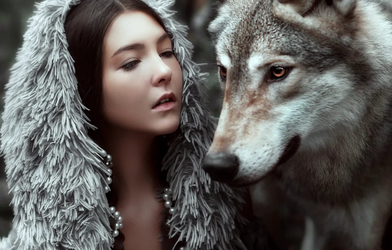 Фото обои морда, девушка, лицо, настроение, волк, ситуация, Мария Липина