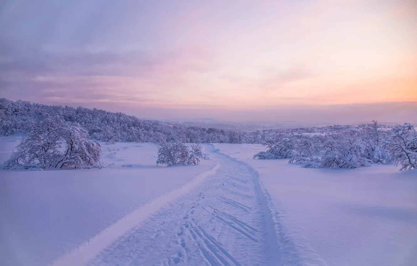 Фото обои зима, дорога, лес, снег, деревья, следы, Россия, Мурманская область