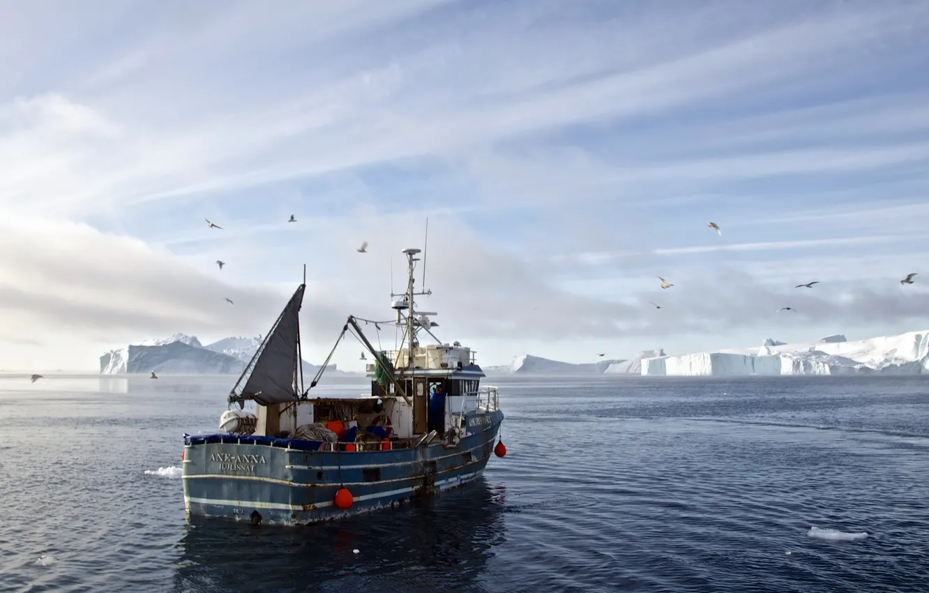 Фото обои море, корабль, Greenland, Ilulisat, Vestgronland