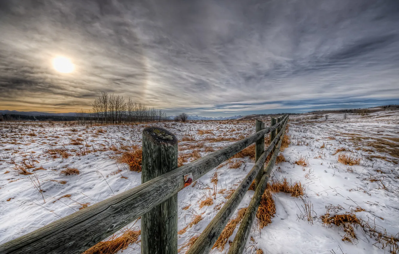Фото обои зима, поле, забор