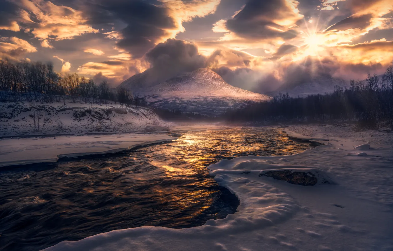Фото обои зима, лес, солнце, облака, свет, снег, горы, туман