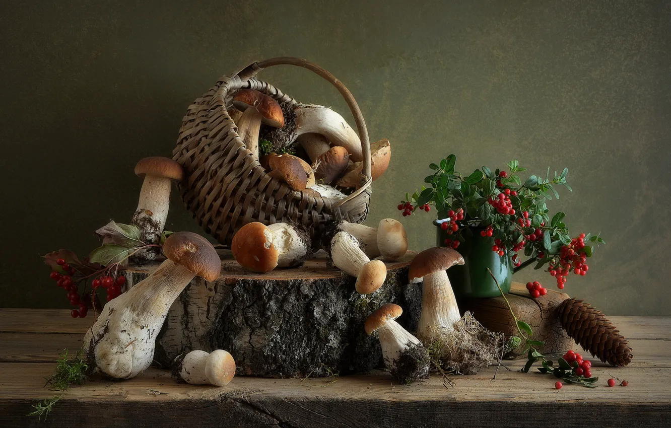 Фото обои грибы, натюрморт, много